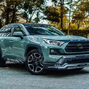 Toyota RAV4 XLE Premium AWD 2019 Green