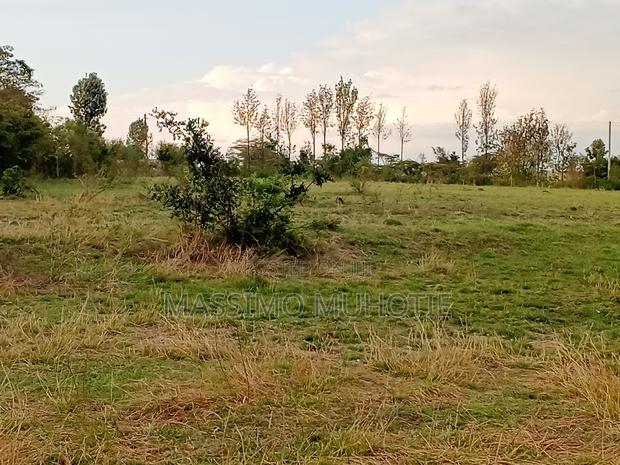 Mweiga 1/4 Acre Plot - thumbnail 2