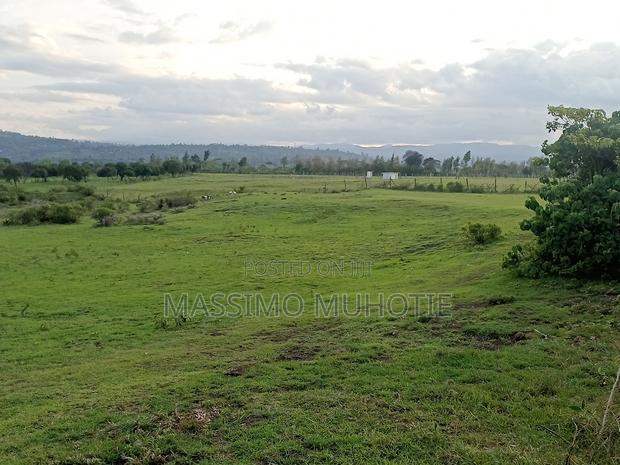 Mweiga 1/4 Acre Plot - thumbnail 3