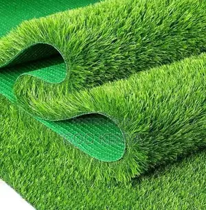 Home Carpet; Indoor/Outdoor Artificial Grass Rug
