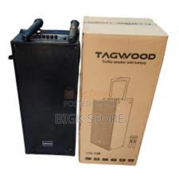 *Tagwood 12d Comes as a Pair Has Two Microphones Not Rechargeable*