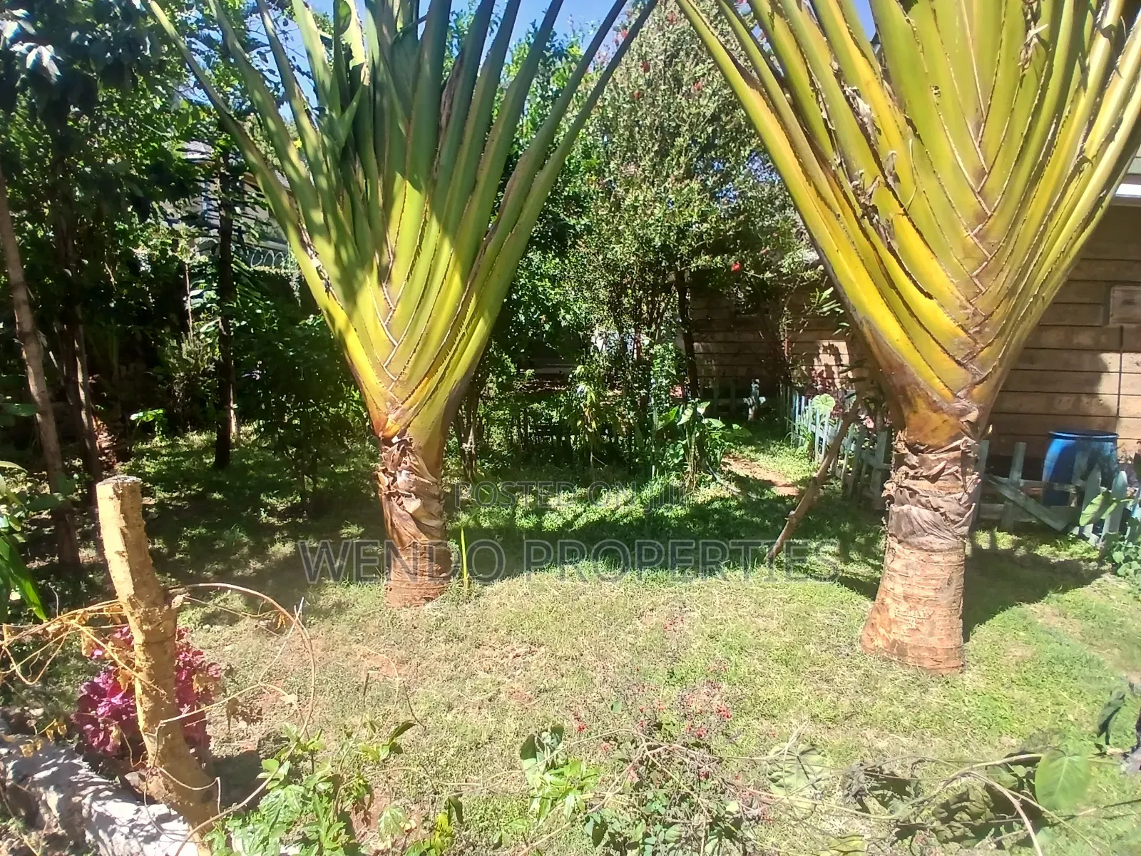 4bdrm House in Karen for rent