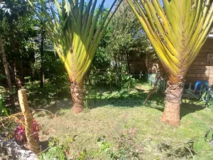 4bdrm House in Karen for rent