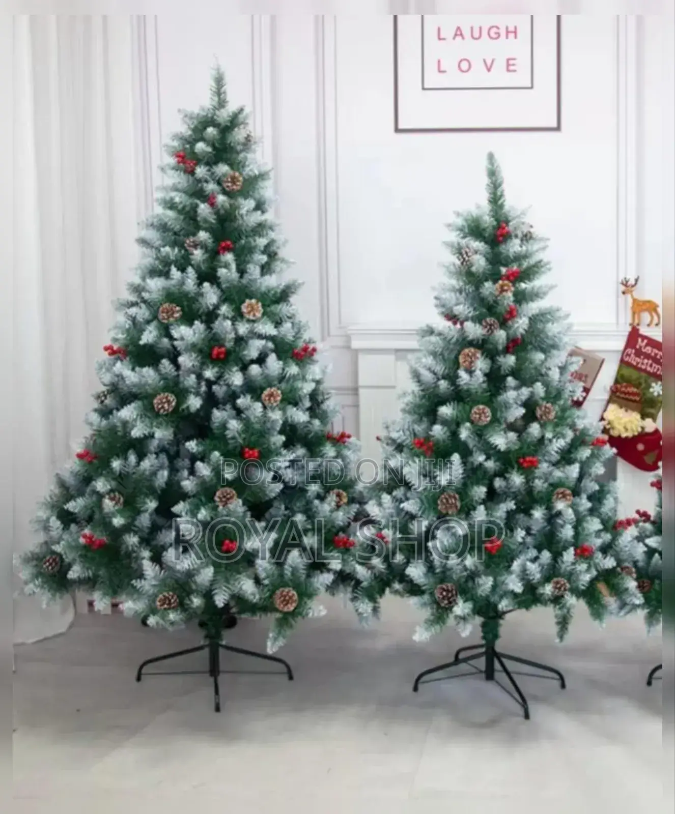 Christmas With Cone and Berries