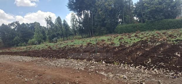 Prime Residential Plots in Limuru - thumbnail 3