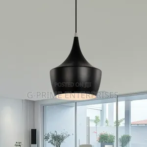 Pendant Light -Globe