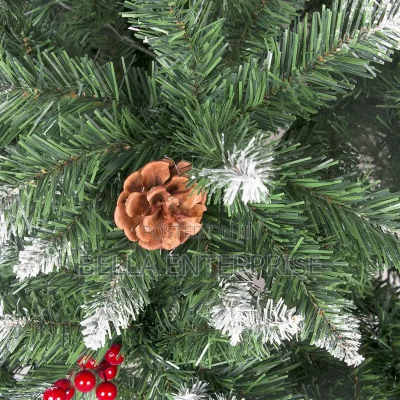 Christmas Trees With Cones and Berries High Quality