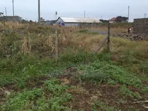 Prime Plot For Sale In Juja