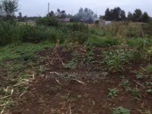 Prime Plot For Sale In Juja