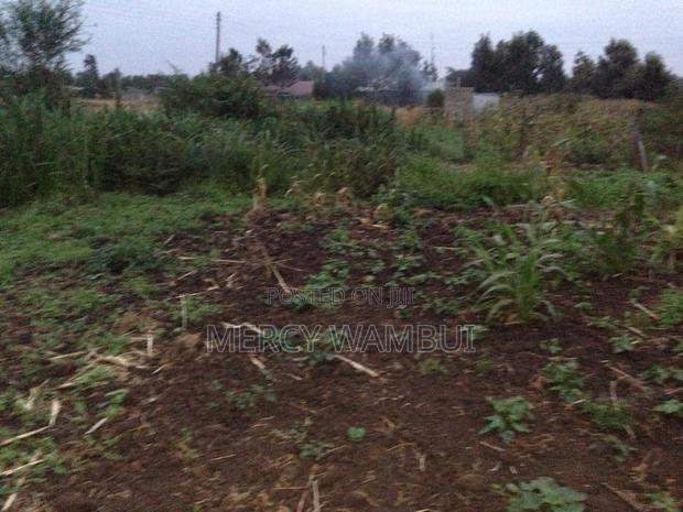 Prime Plot For Sale In Juja - thumbnail 3