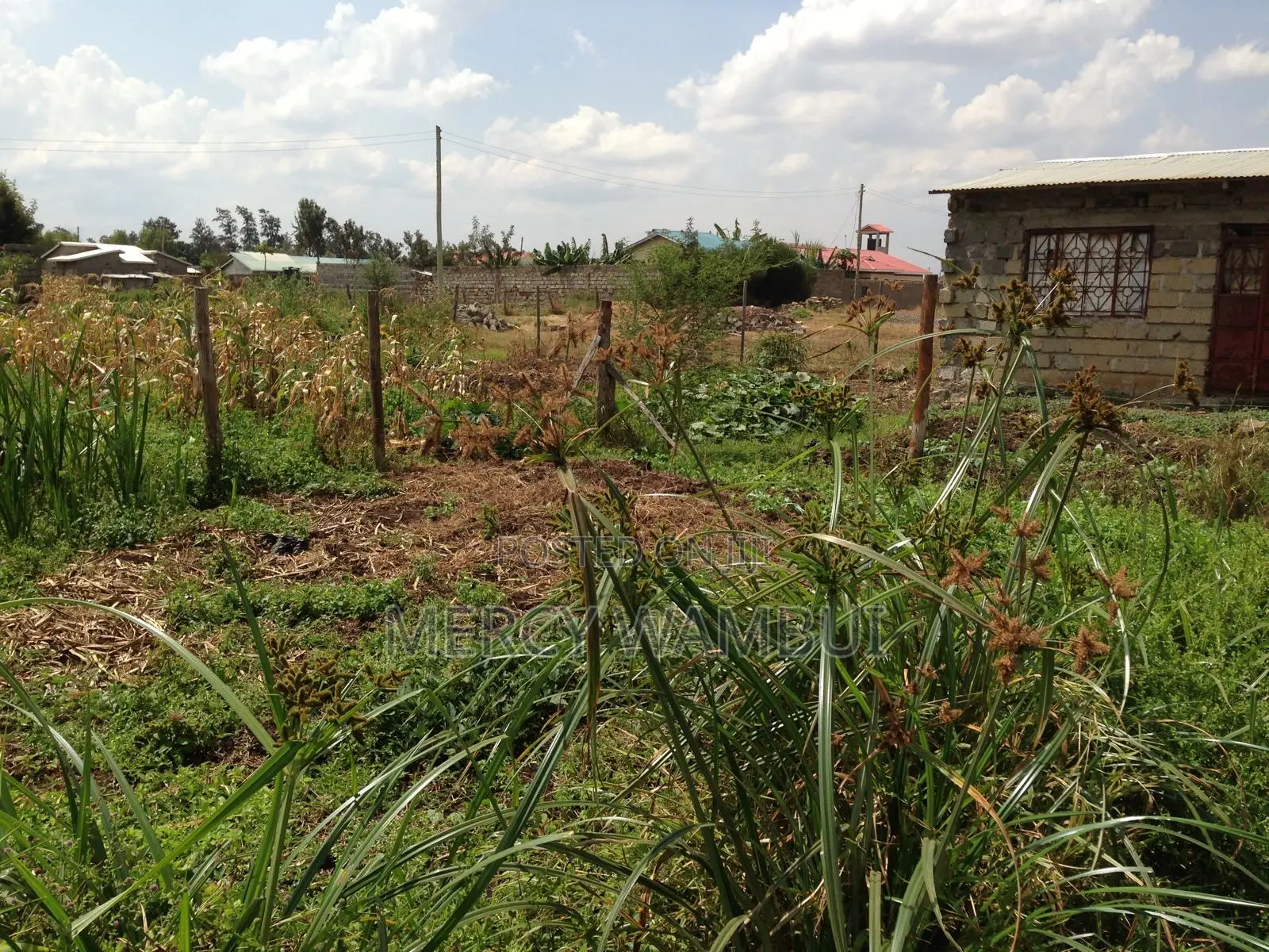 Prime Plot For Sale In Juja