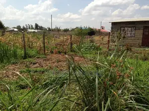 Prime Plot For Sale In Juja
