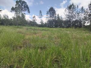 Mugutha 1/4 Plots - thumbnail 2