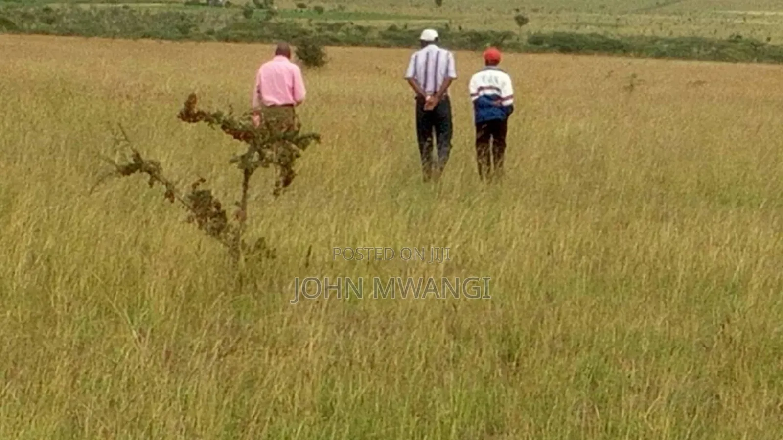 Plot for Sale