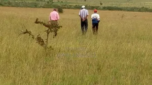 Plot for Sale