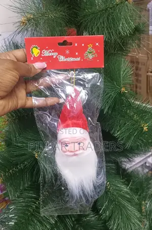 Christmas Santa Head