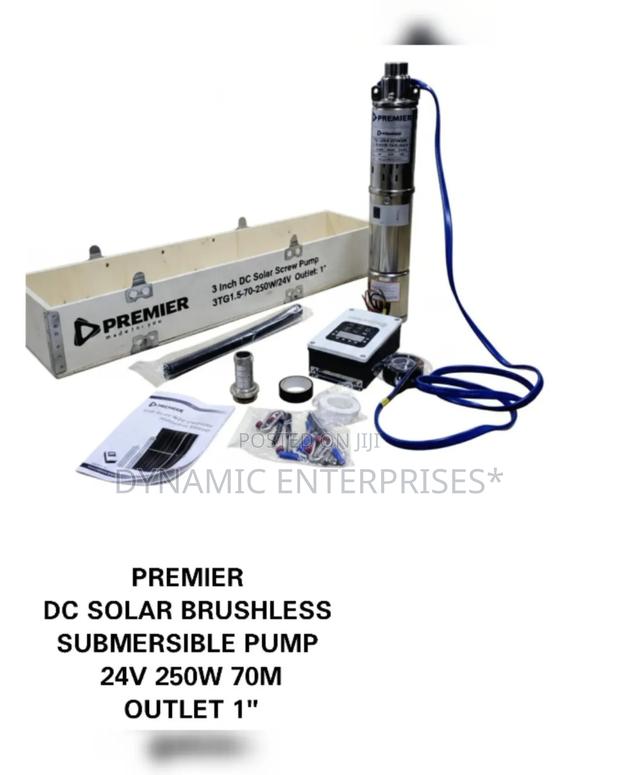 Premier 3 Inch Dc Solar Screw Pump