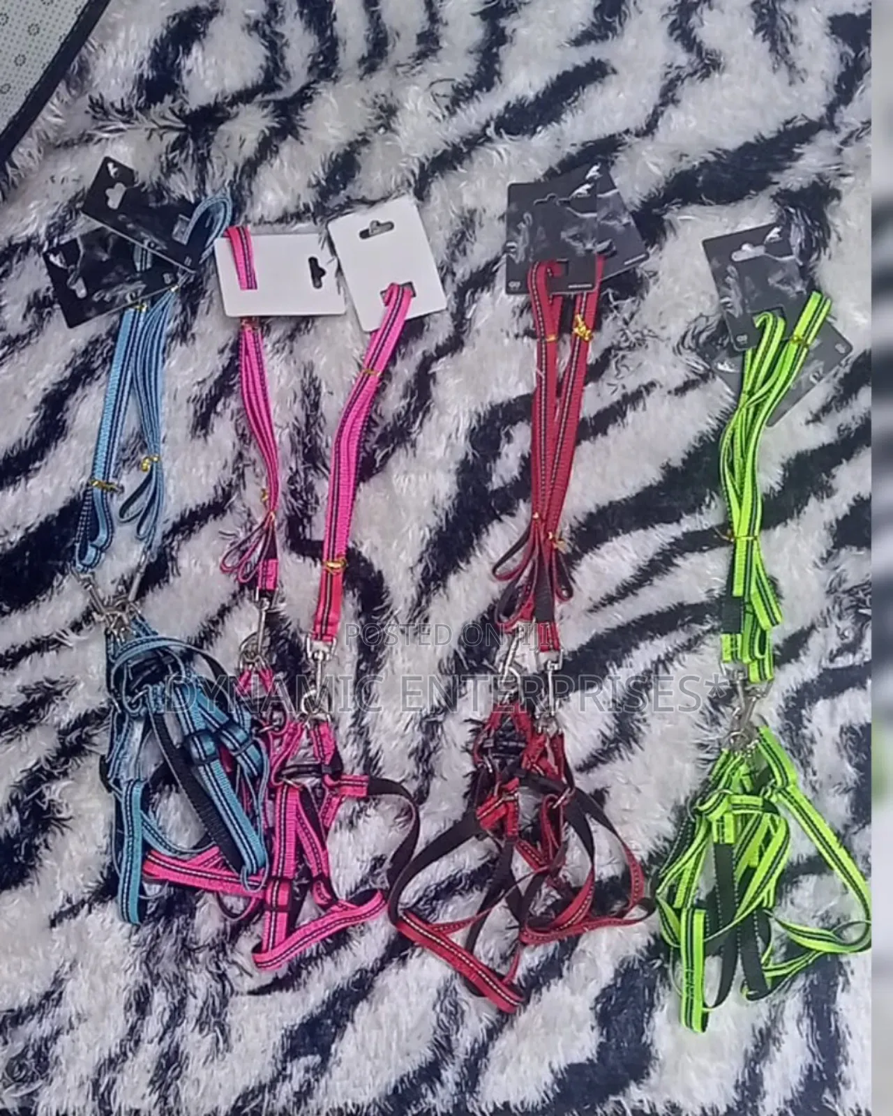 Sets of Dog Harnesses and Leashes in Various Colors.