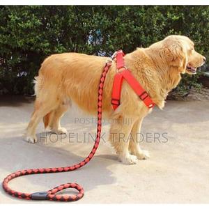 Dog Leash Strong Leash - thumbnail 2