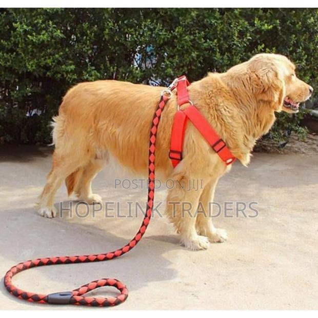 Dog Leash Strong Leash - main view