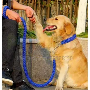 Dog Leash, Double Leash