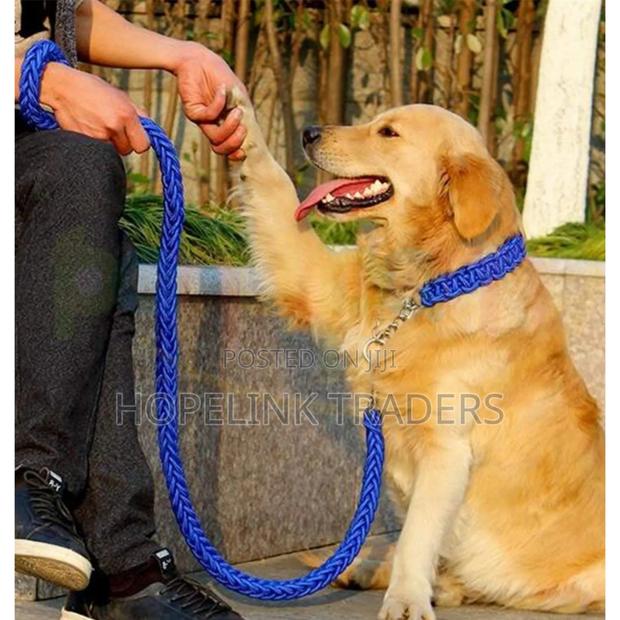 Dog Leash, Double Leash - main view