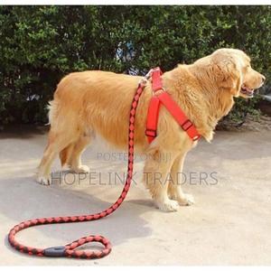Dog Leash, - thumbnail 2