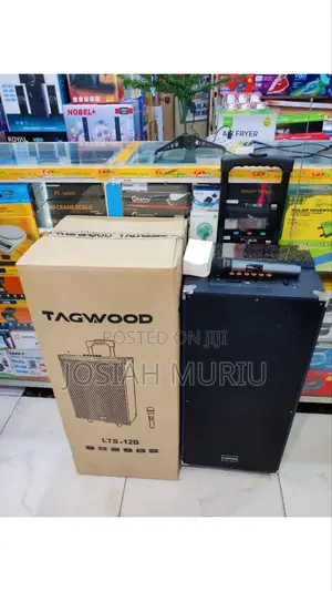 Tagwood 12" 12b Rechargeable Portable Speaker Double Built-in Speakers