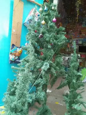 Chrismass Trees Fully Decorated