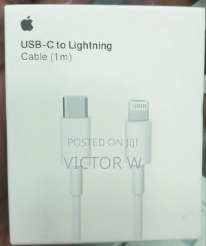 Usb-C to Lightning Cable for iPhone. Fast Charge and Sync Cable - main view
