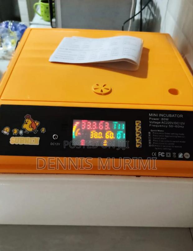 64eggs Incubator - main view