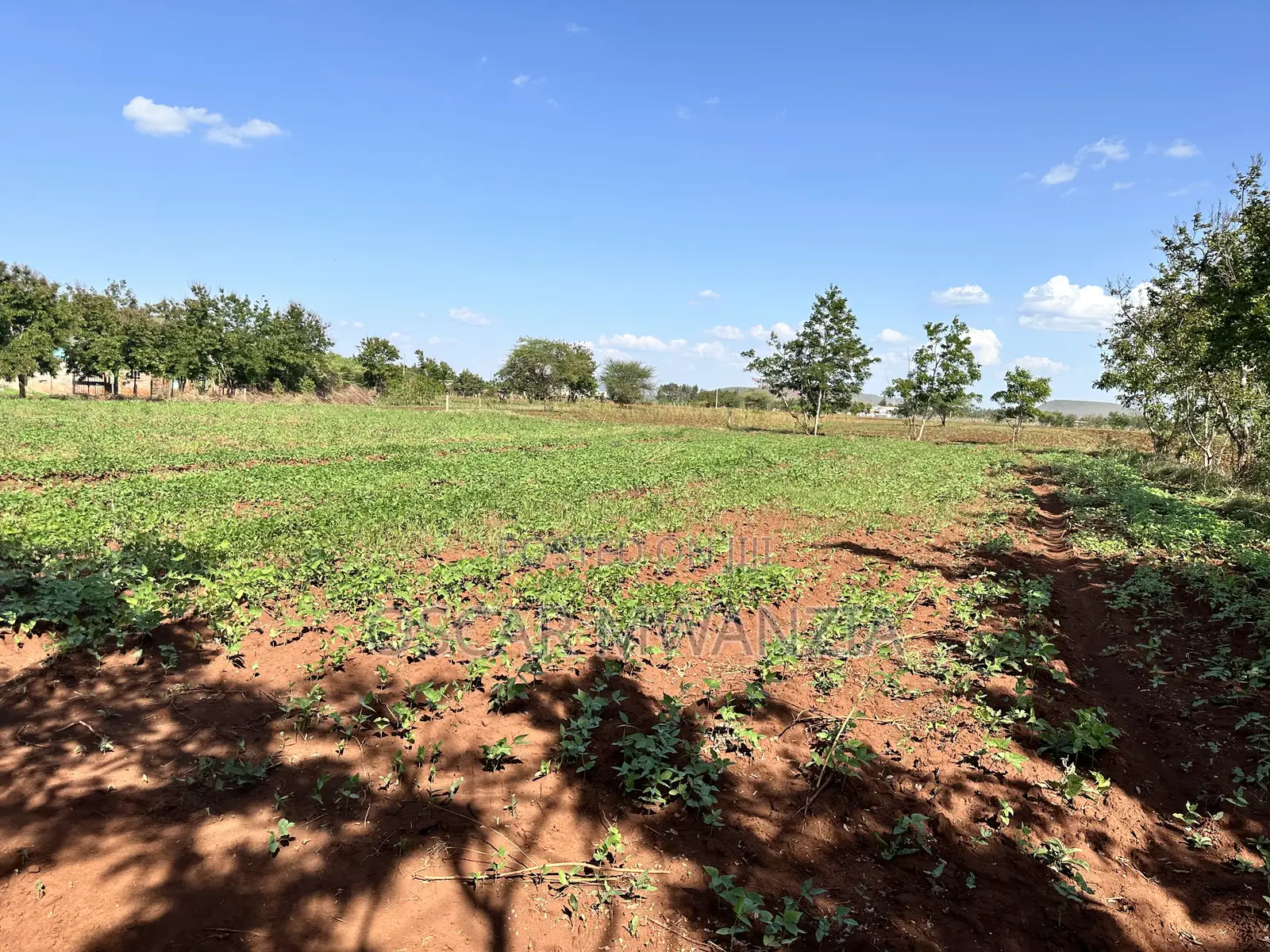 Land for Sale in Emali