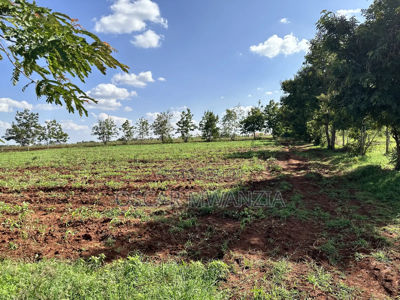 Land for Sale in Emali