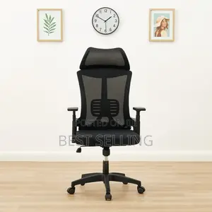 Ergonomic Office Chair