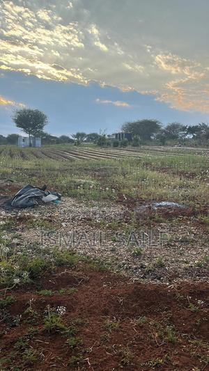 Land For Rent - thumbnail 2