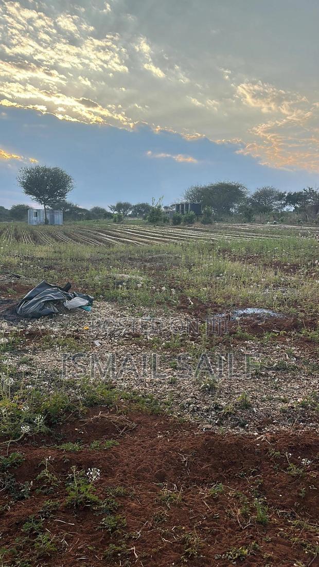 Land For Rent - main view