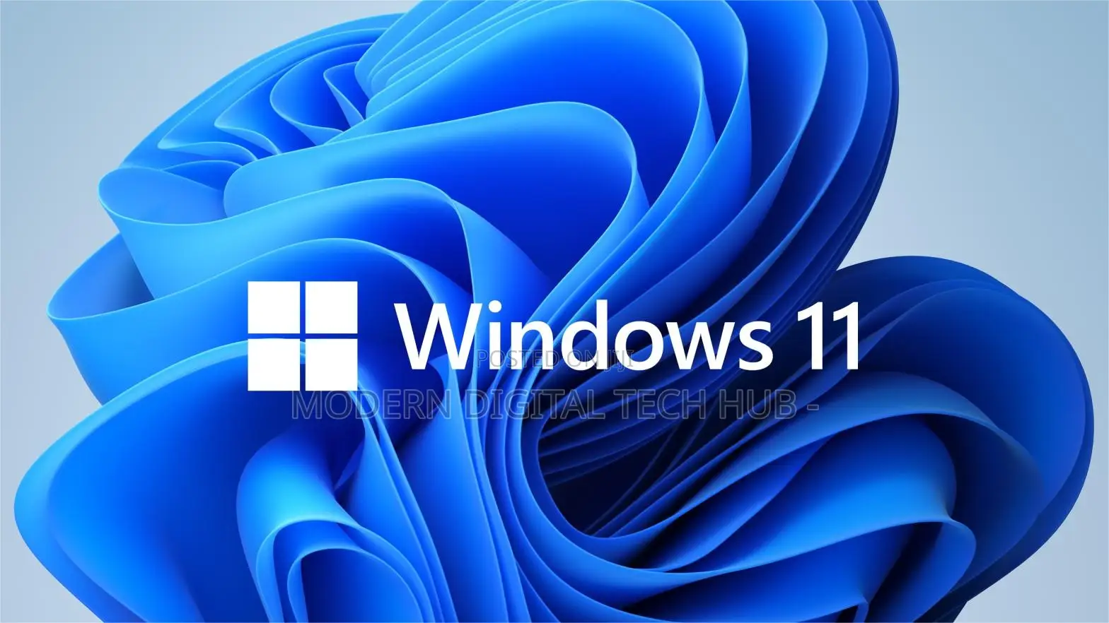 Windows 11 and Office Installation