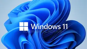 Windows 11 and Office Installation