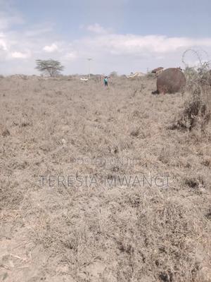 Isinya Plot - thumbnail 2