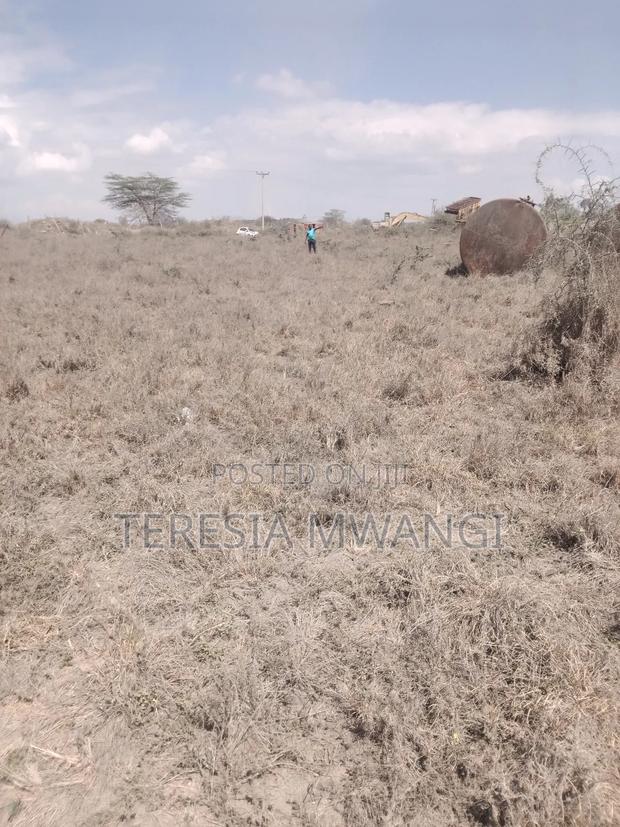 Isinya Plot - main view