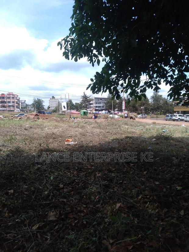 One Hector Plot in Ruaka - main view