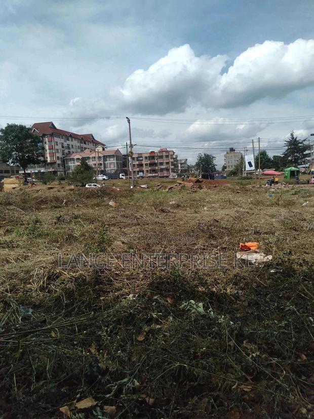 One Hector Plot in Ruaka - thumbnail 4