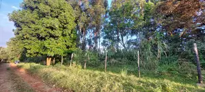 1/2 Acre Fortsmith Road, Kabete