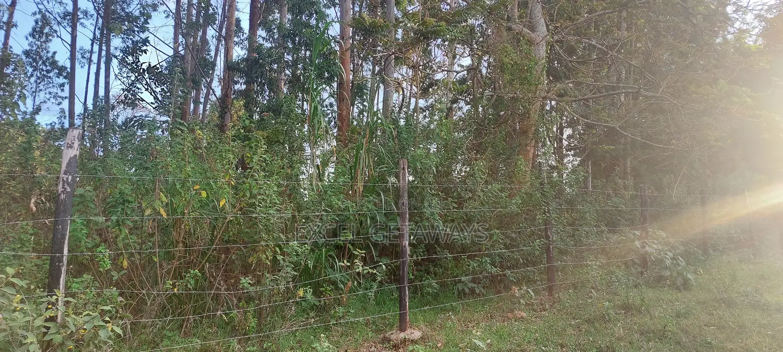 1/2 Acre Fortsmith Road, Kabete