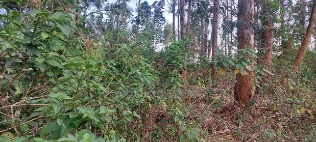 1/2 Acre Fortsmith Road, Kabete - thumbnail 9