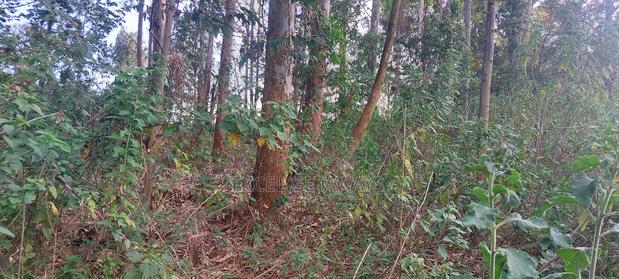 1/2 Acre Fortsmith Road, Kabete - thumbnail 10