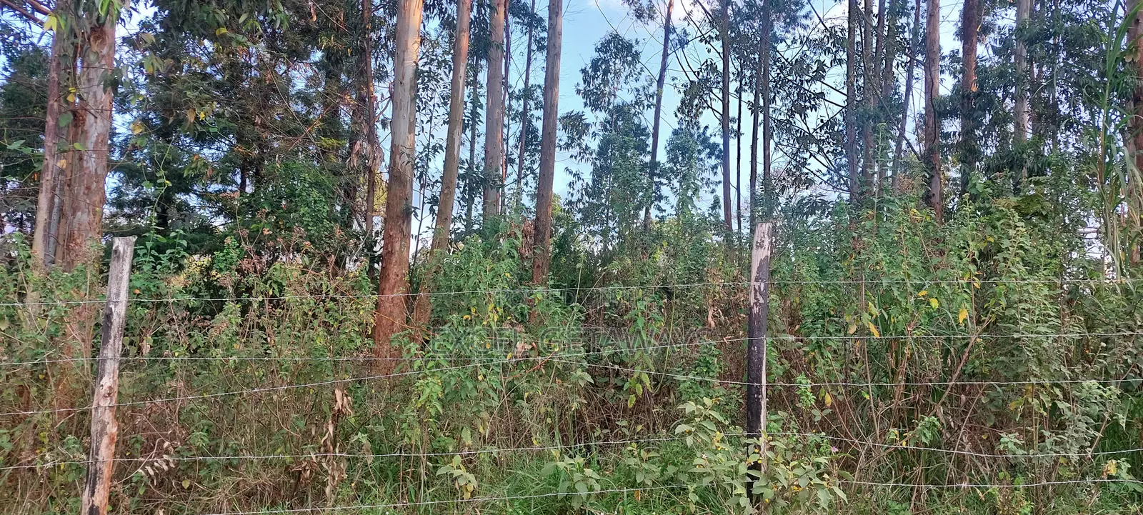 1/2 Acre Fortsmith Road, Kabete