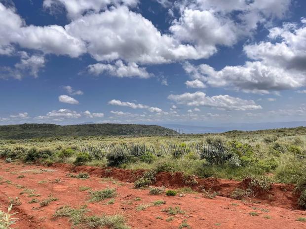 5 Acre Block. Prime for Immediate Subdivision at 4.5m - main view