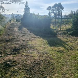 Naivasha Mwiciringiri - main view