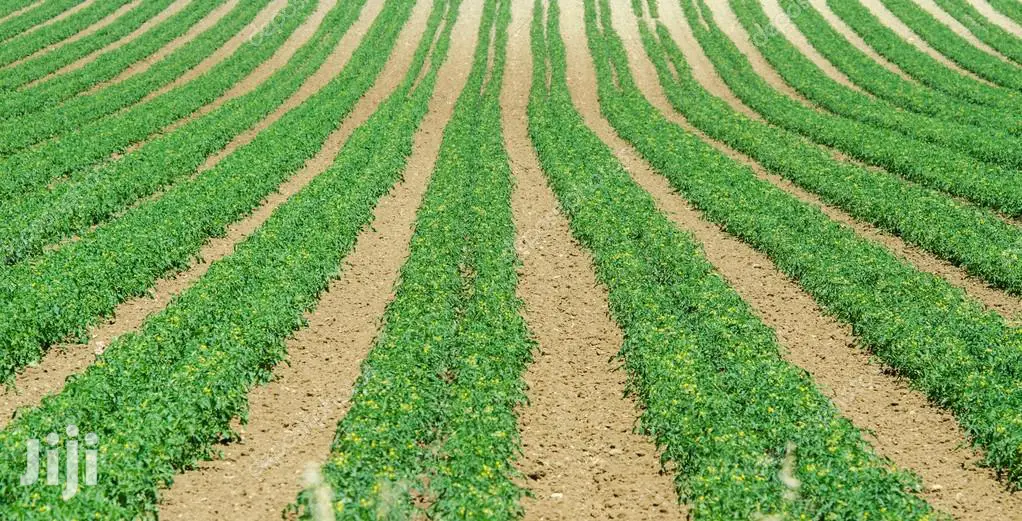 2 Acres Settlement and Agricultural/Farming Land